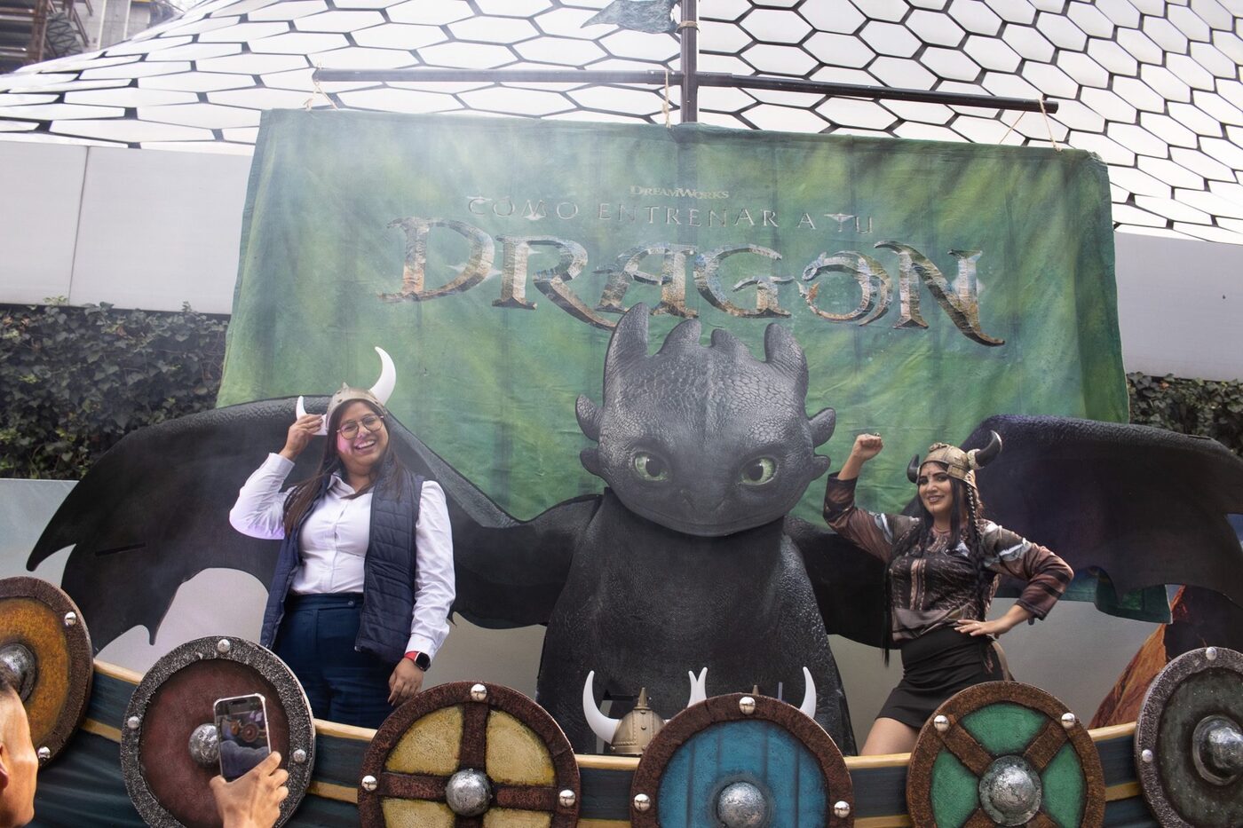 Cómo Entrenar a tu Dragón
